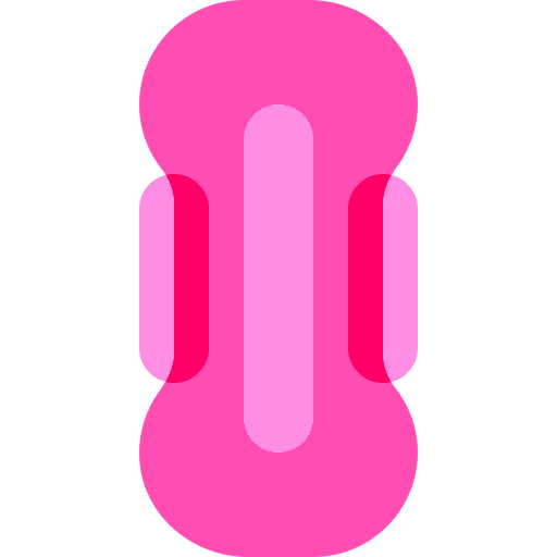 Sanitary towel sanitary napkin sanitary sanitary towel icon