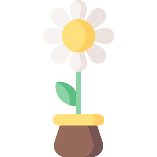 Daisy nature flower bloom icon