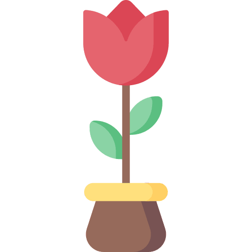Tulip petals botanical tulip icon