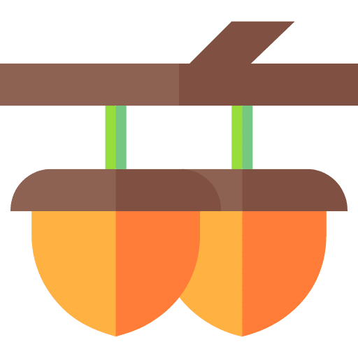 Acorn food and restaurant vegan chestnut icon