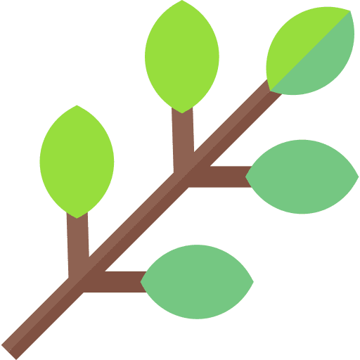 Branch spring healthy food leaf icon