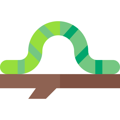 Caterpillar entomology spring insect icon