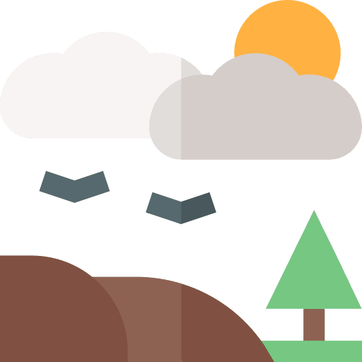 Cloudy birds weather pine icon