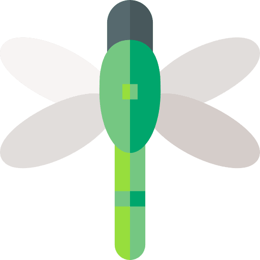Dragon fly dragon fly insect entomology icon