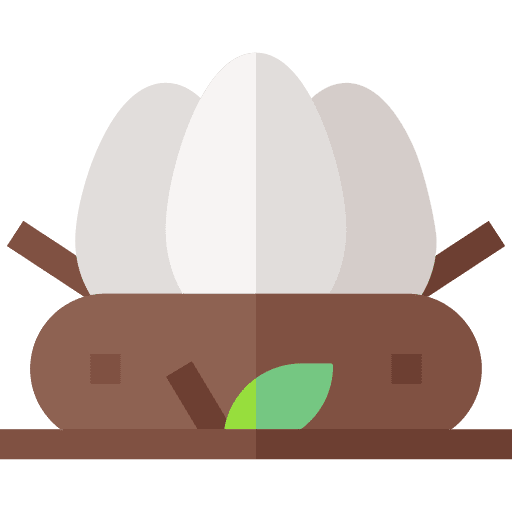 Nest nest zoo eggs icon