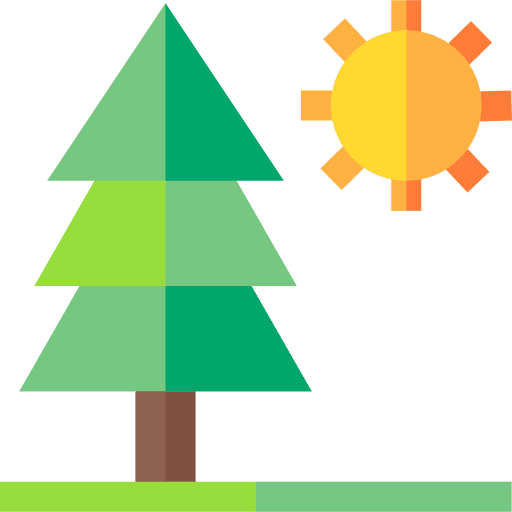 Pine tree pine pine tree tree icon