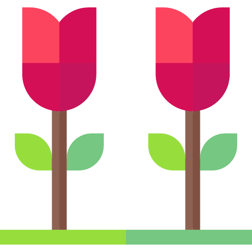 Tulips flower botanical petals icon