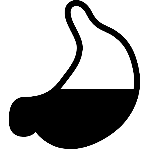 Full stomach medical medicine hospital icon