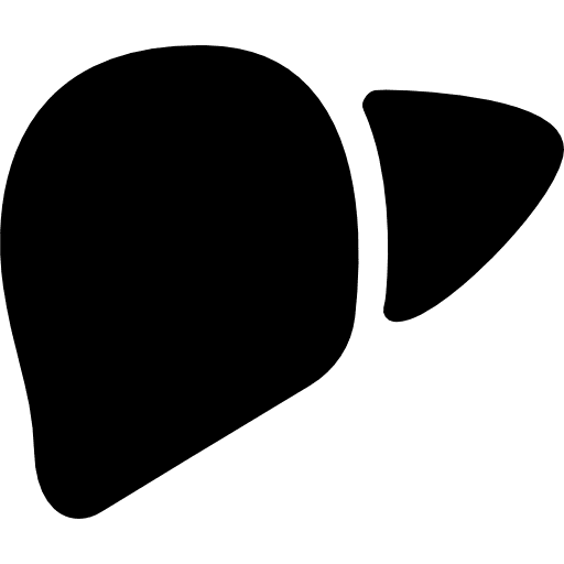 Human liver hepatitis body organ hospital icon
