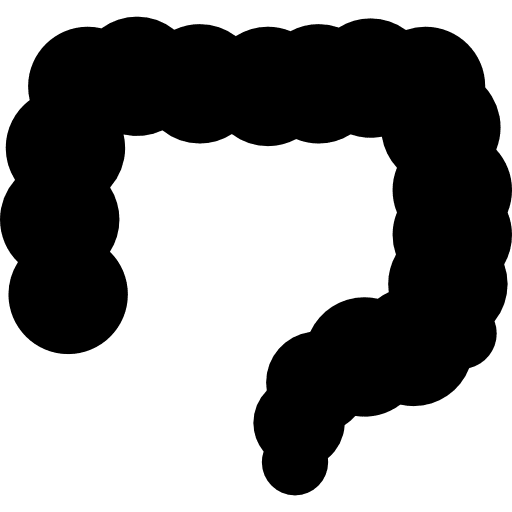 Big intestines digestion digestive medical icon