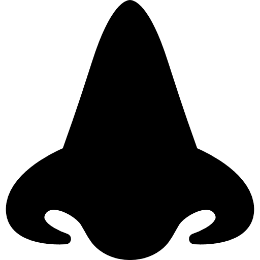 Big nose noses smell medical icon