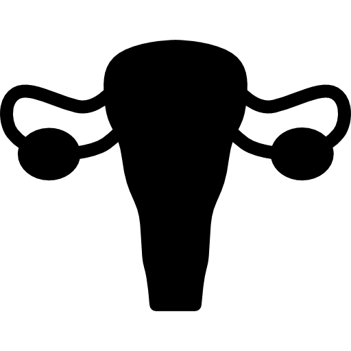 Female reproduction system menstruation organs utero icon