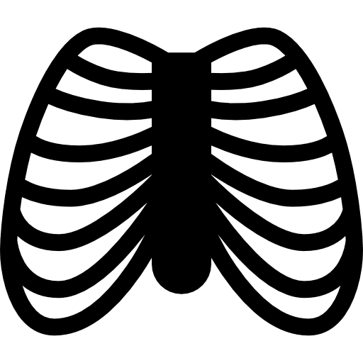 Human ribs medical doctor skeleton icon