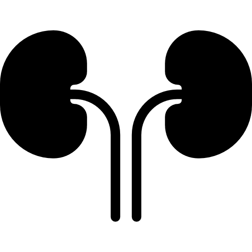 Kidneys body organ urologist health care icon