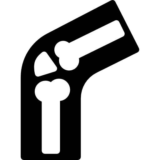 Knee bones bone human leg icon