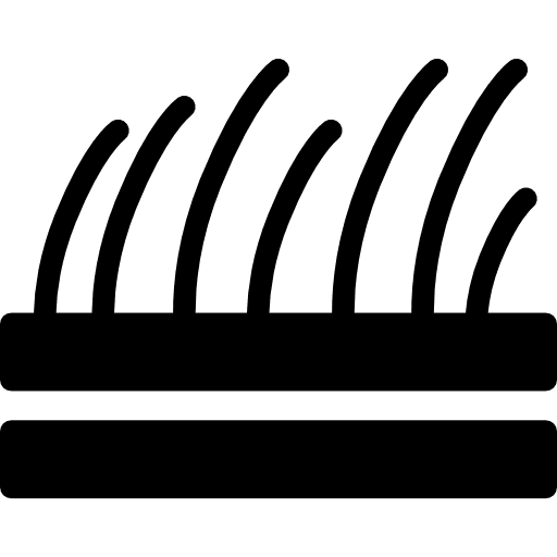 Skin hair medical follicle anatomy icon