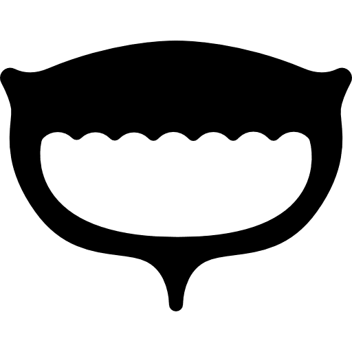 Urinary bladder hospital urology urologist icon