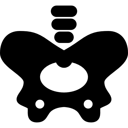 Hip bone bones doctor body parts icon