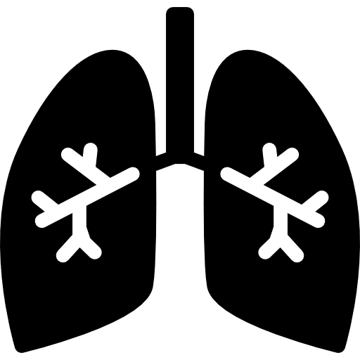 Lungs with bronchi  body organ body parts breathing icon