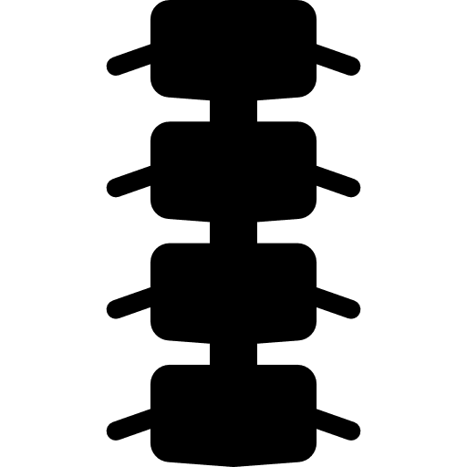 Spinal bones hospital doctor skeleton icon