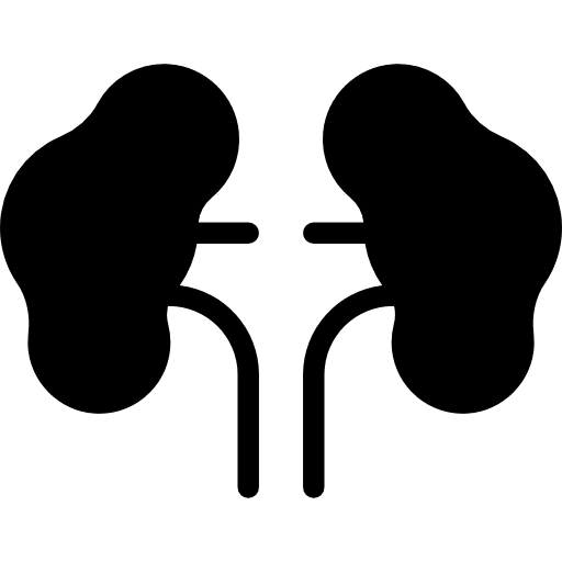Two kidneys urologist medical body parts icon