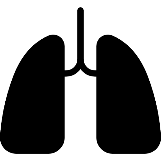 Two lungs body parts lung body organ icon