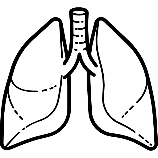 Lungs healthcare and medical lung anatomy icon