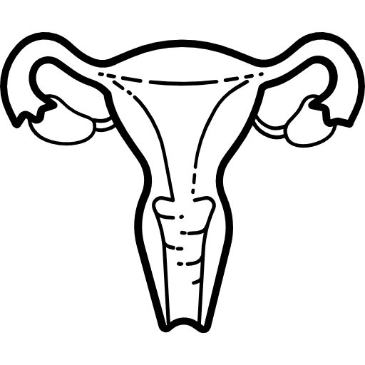 Uterus ovaries uterus medical icon