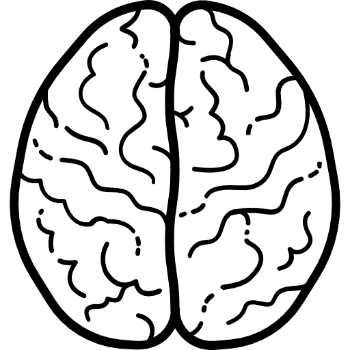 Brain human brain anterior part people icon
