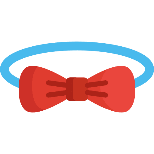 Bow tie elegant clothes fashion icon