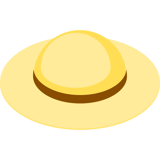 Hat fashion hat pamela icon