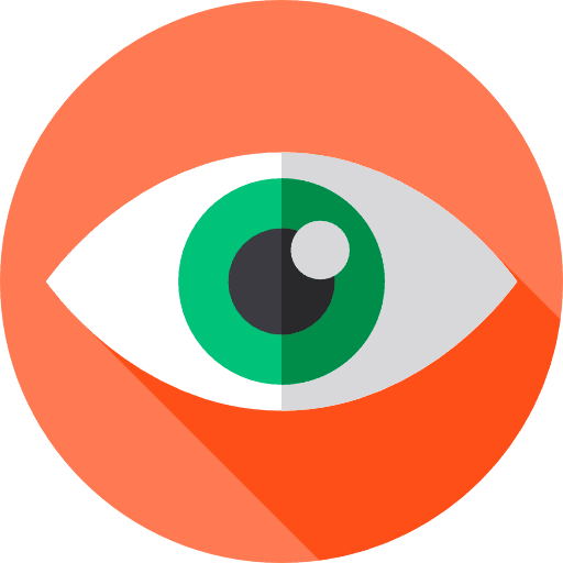 Eye security eye interface icon