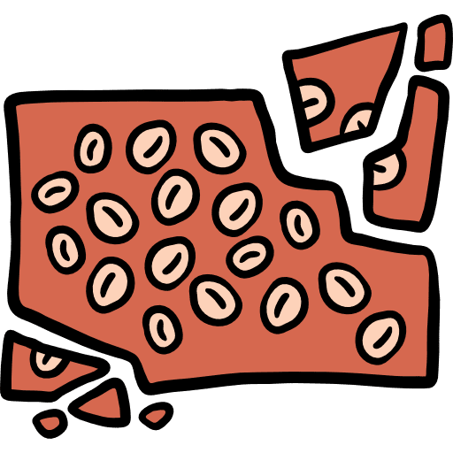 Brittle food and restaurant sweet candy icon