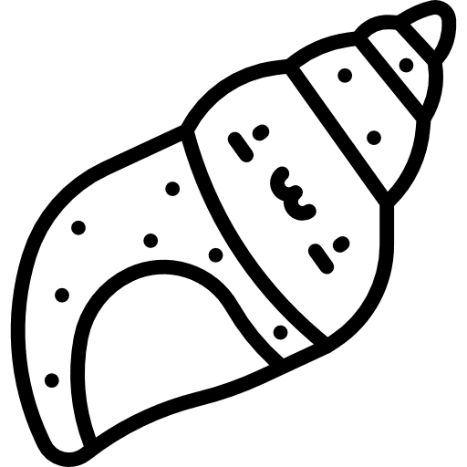 Seashell aquarium animals sea life icon