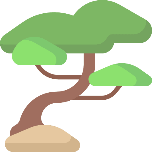 Bonsai china nature bonsai icon