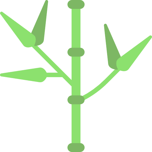 Bamboo spa spa and relax plant icon