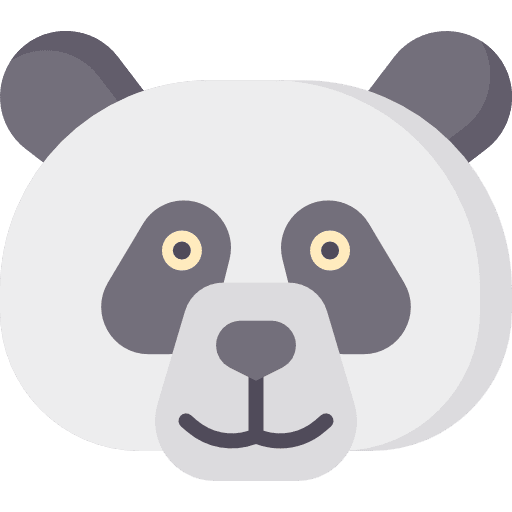 Panda bear chinese mammal icon