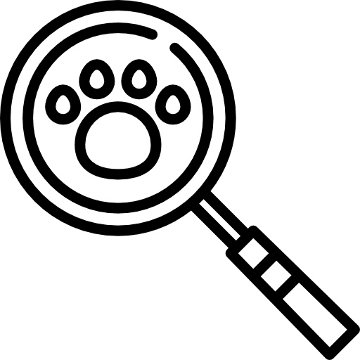 Search animals search pet icon