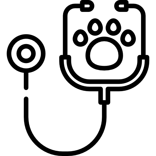 Stethoscope doctor phonendoscope medical icon