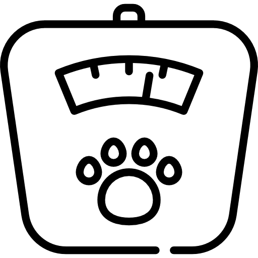 Scale fitness weight scales icon