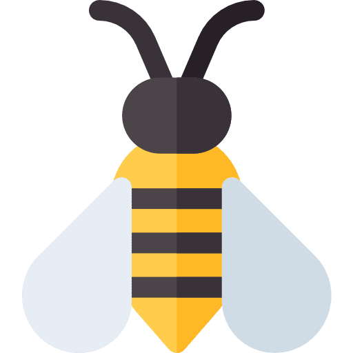 Bee insect bug entomology icon