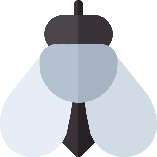 Fly insect animals entomology icon