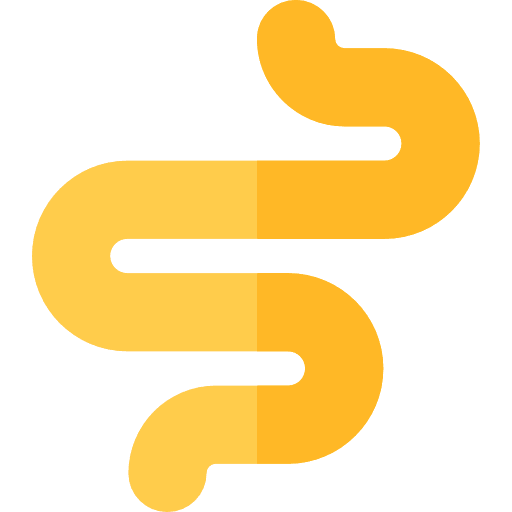 Worm worm entomology bug icon