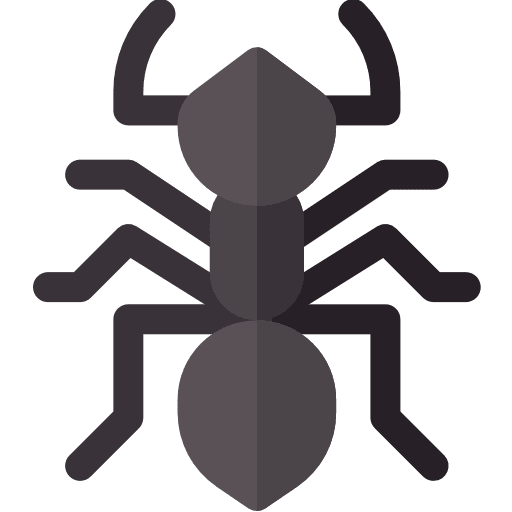Ant animals insect entomology icon
