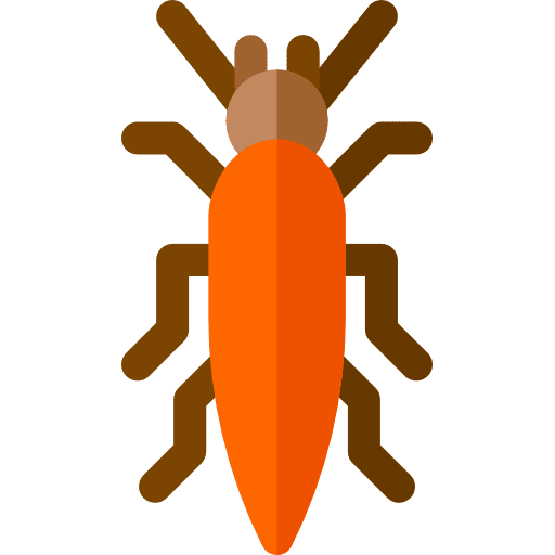 Bug animals entomology bug icon