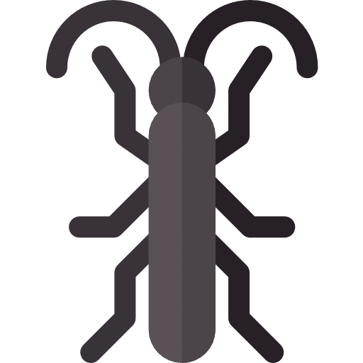 Bug animals insect bug icon