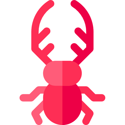 Bug insect animals entomology icon