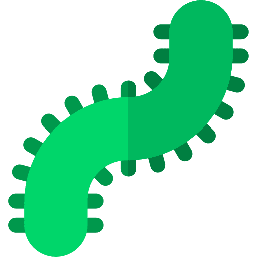Centipede bug centipede insect icon
