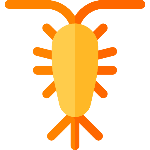Bug entomology bug insect icon