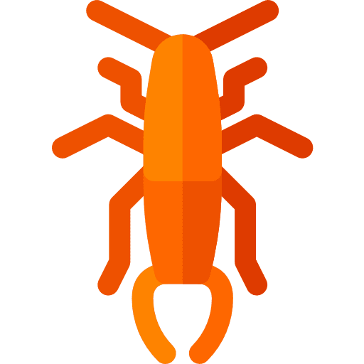 Bug entomology insect animals icon